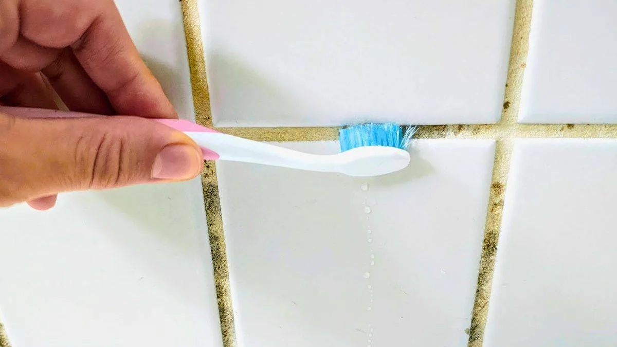 Stop Using Bleach on Shower Grout: 3 Better Items to Remove Mould
