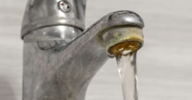 Stop Using Vinegar for Limescale: Lemon Juice Works Better, Say Experts