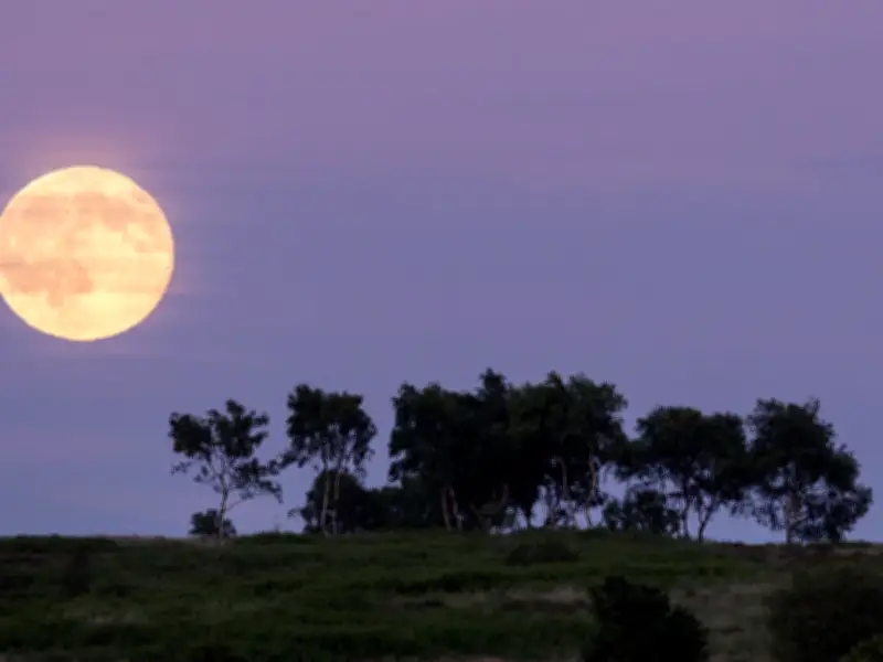 Strawberry Moon 2026: When and Where to See the June Full Moon