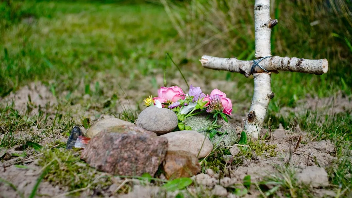 Homeowners Warned of Strict Rules on Burying a Pet at Home