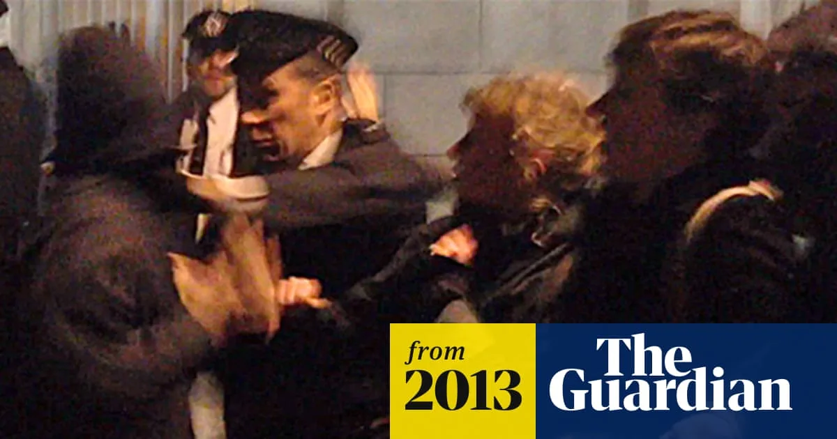 Student Accuses Police Officer of Punching Him During University of London Protest