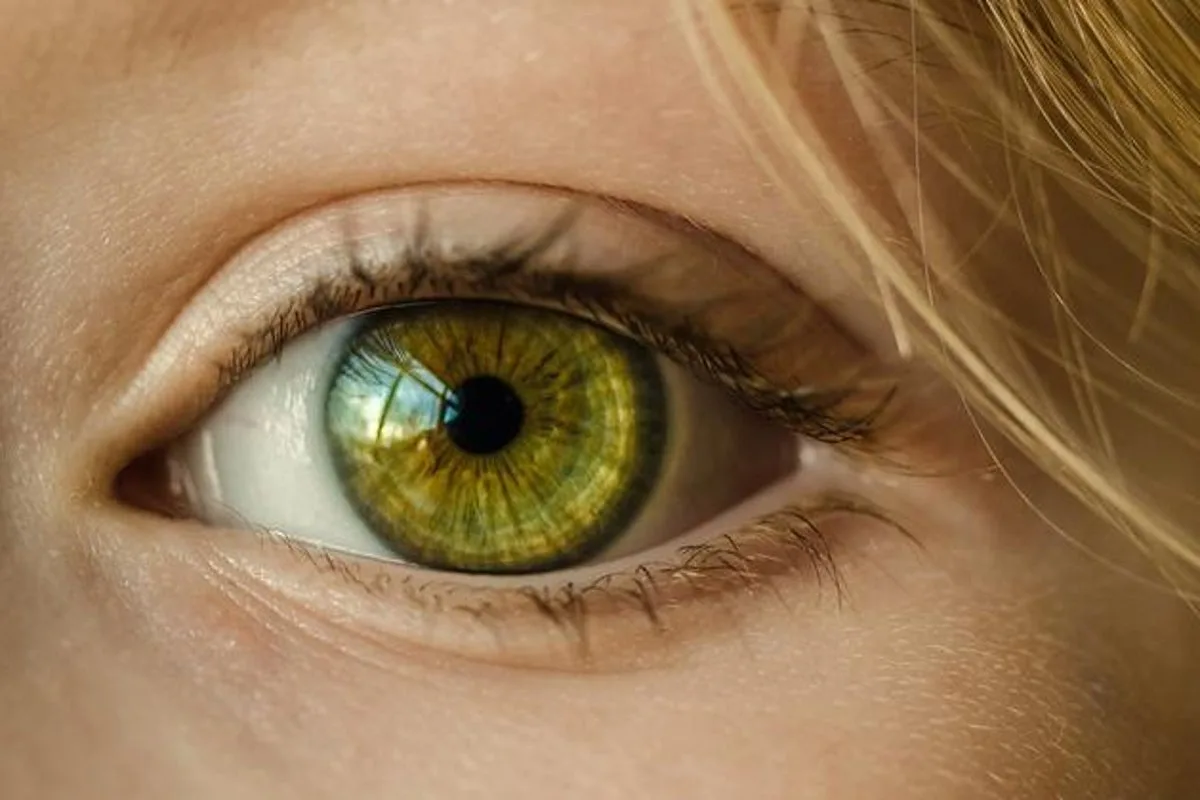 Study Finds Way to 'Reboot' Eye and Restore Impaired Vision