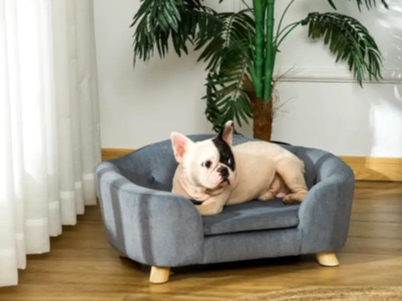 'Stylish' Pet Sofa Bed with Room to Stretch Now Cheaper Than Prime Day