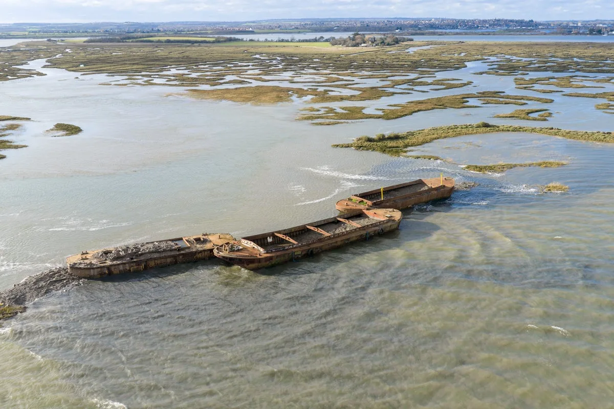 Sunken Barges Create New Essex Bird Island in First-Of-Its-Kind Project