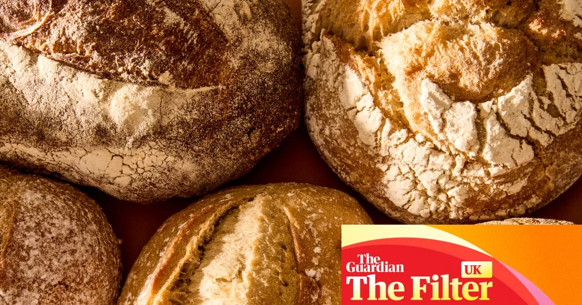 Supermarket Sourdough Showdown: Top 8 Loaves Taste Tested
