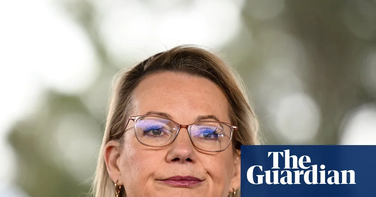 Sussan Ley Clarifies Coalition's Climate Target Stance After 'Misspeaking'