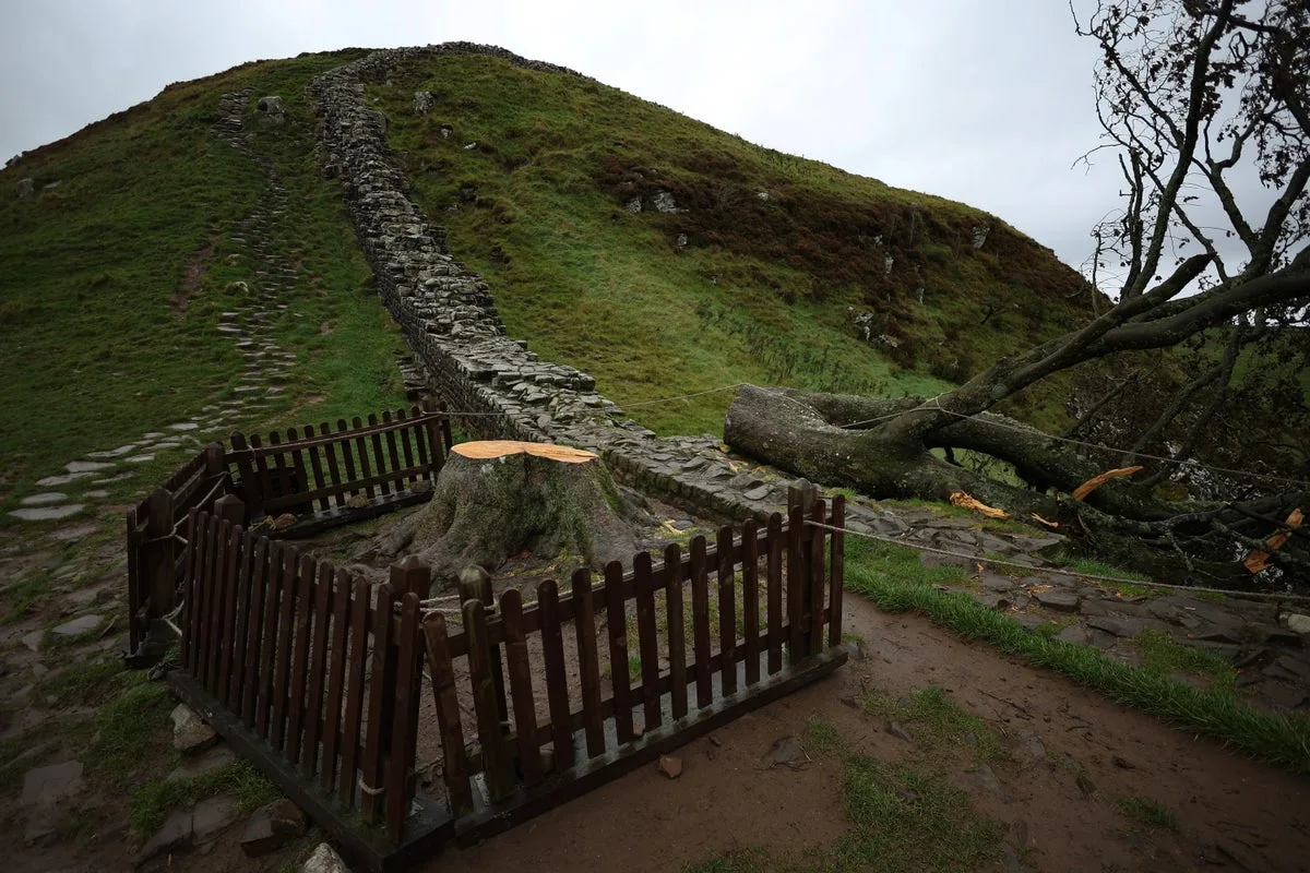Sycamore Gap Tree Vandals Convicted After Leaving Vital Clues