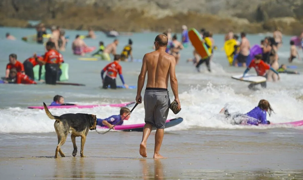 Dog Dispute Erupts at Cornwall’s Fistral Beach