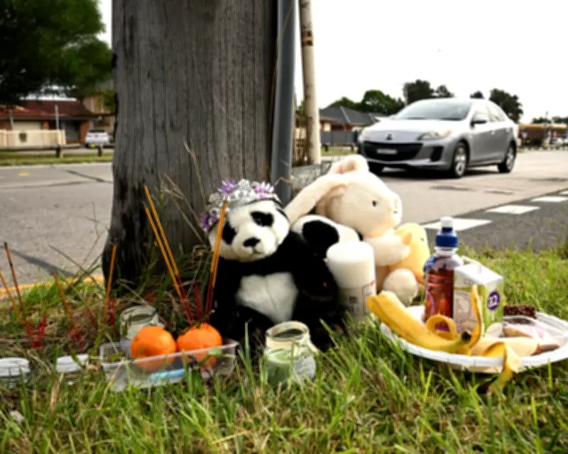 Sydney Mother's Anguish After Children Killed in Pram Crash