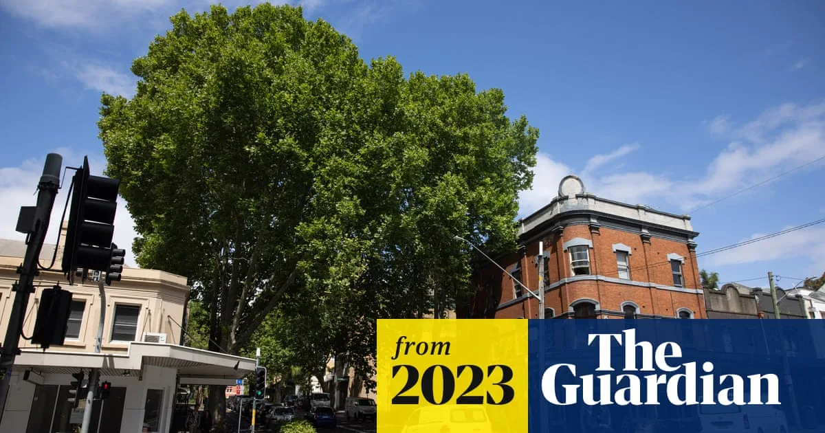 Sydney to Phase Out Plane Trees Over Health and Climate Concerns