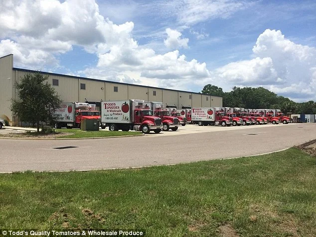 US Air Force and Homeland Security Raid Florida Tomato Warehouse, Reason Sealed