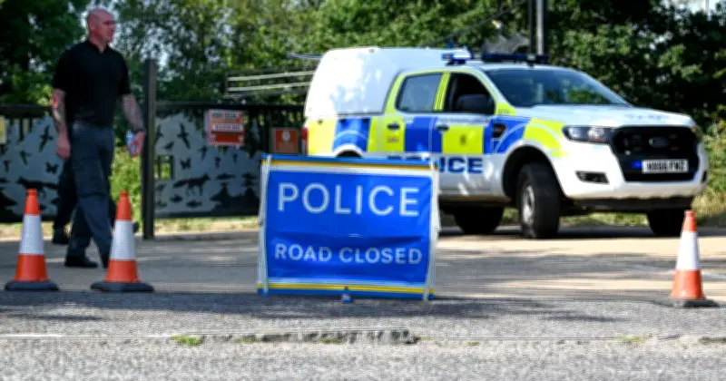 Teen Missing After Swimming in Lake: Urgent Search Launched
