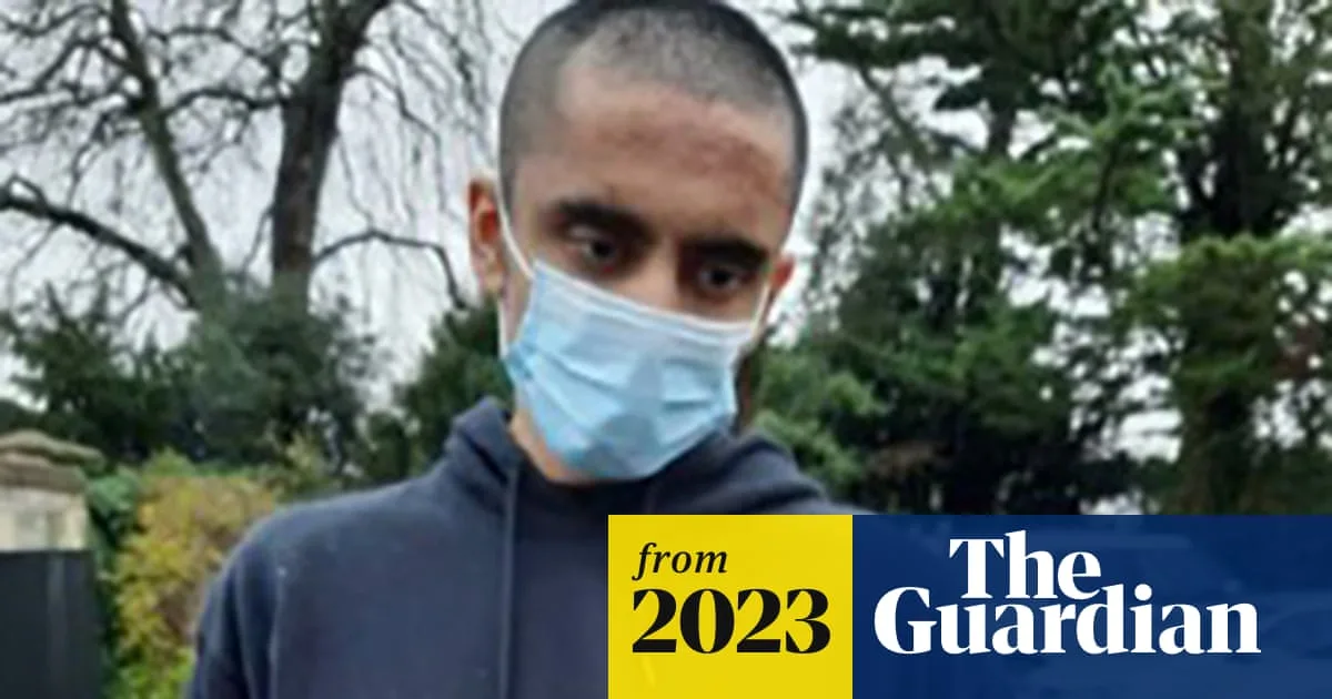 Teen Told AI Girlfriend He Could Finally Kill Someone Before Queen Plot