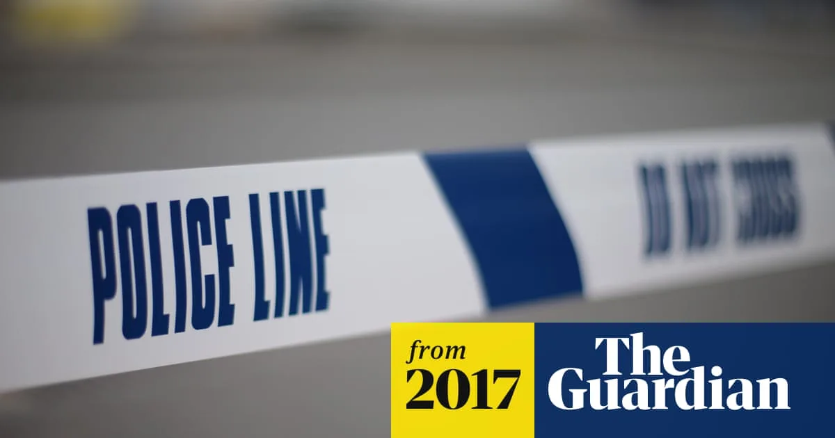 Teenager Stabbed to Death in South London Park