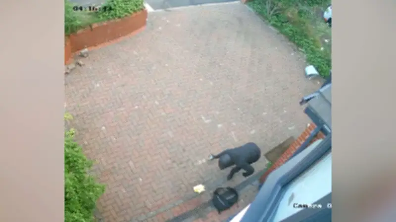 Terrifying moment masked suspect 'firebombs' Bolton imam's family home in attack