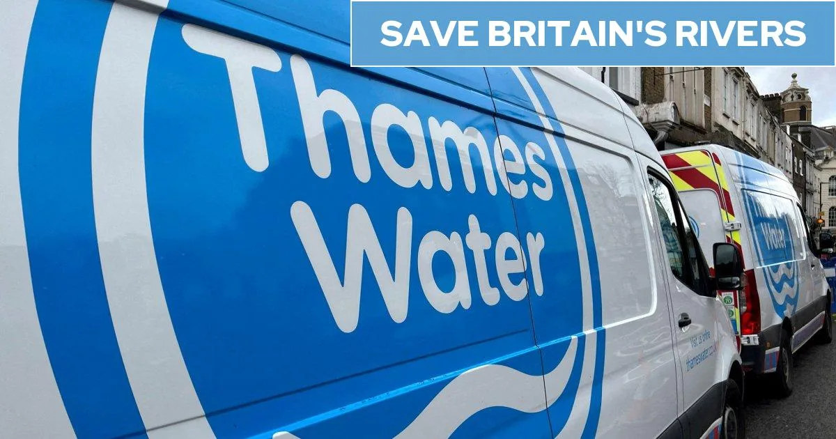 Thames Water on the Brink: Ofwat Rejects Bailout, Bills Could Soar