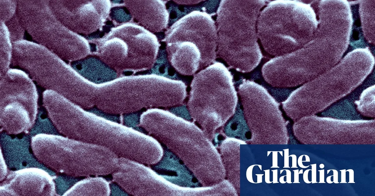 Louisiana Reports Five Deaths from Flesh-Eating Bacterium in 2025