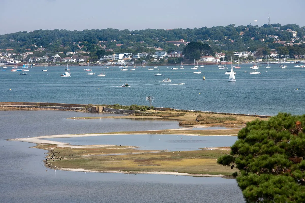 Three Arrested in Murder Inquiry After Body Found in Poole Harbour