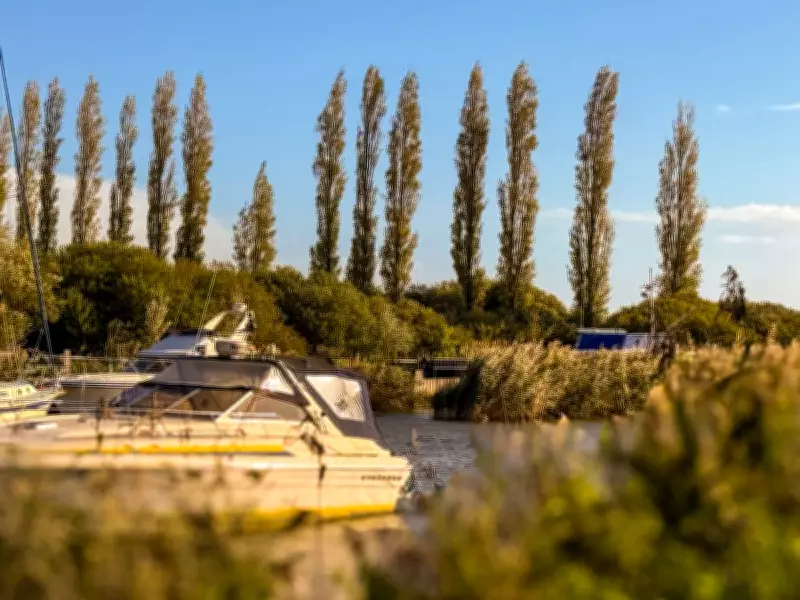 Three Arrested in Murder Probe After Man Goes Overboard in Arne Bay