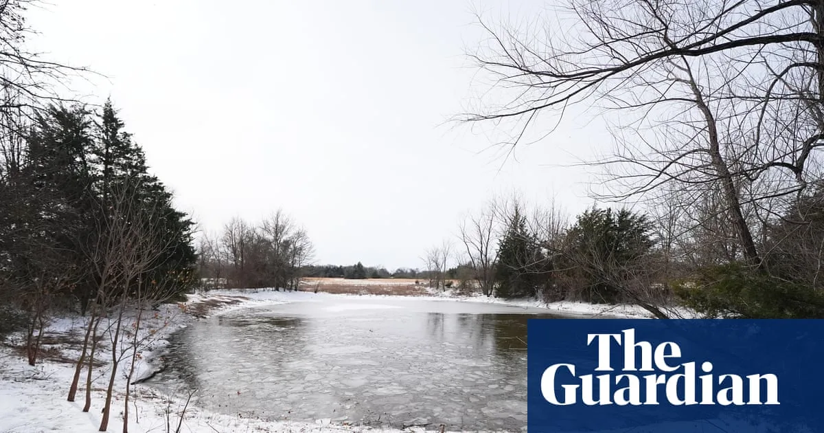Three Young Brothers Drown in Icy Texas Pond
