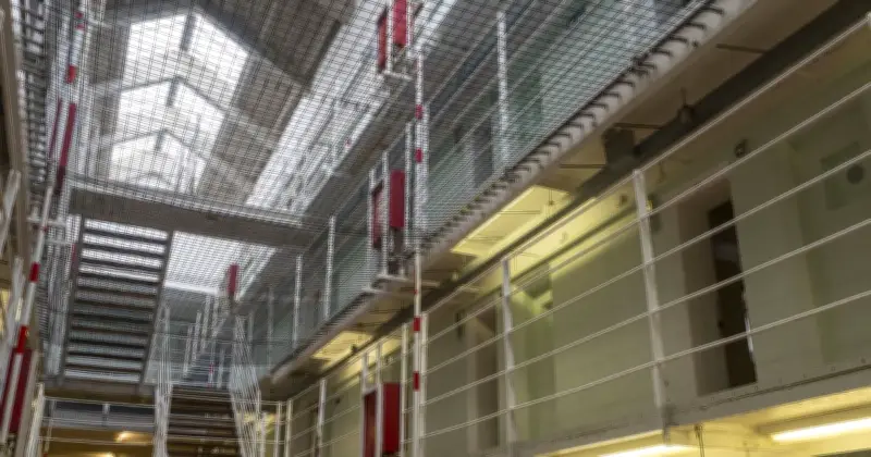 Three UK Prisoners Hospitalised from Spider Bites, One May Lose Leg