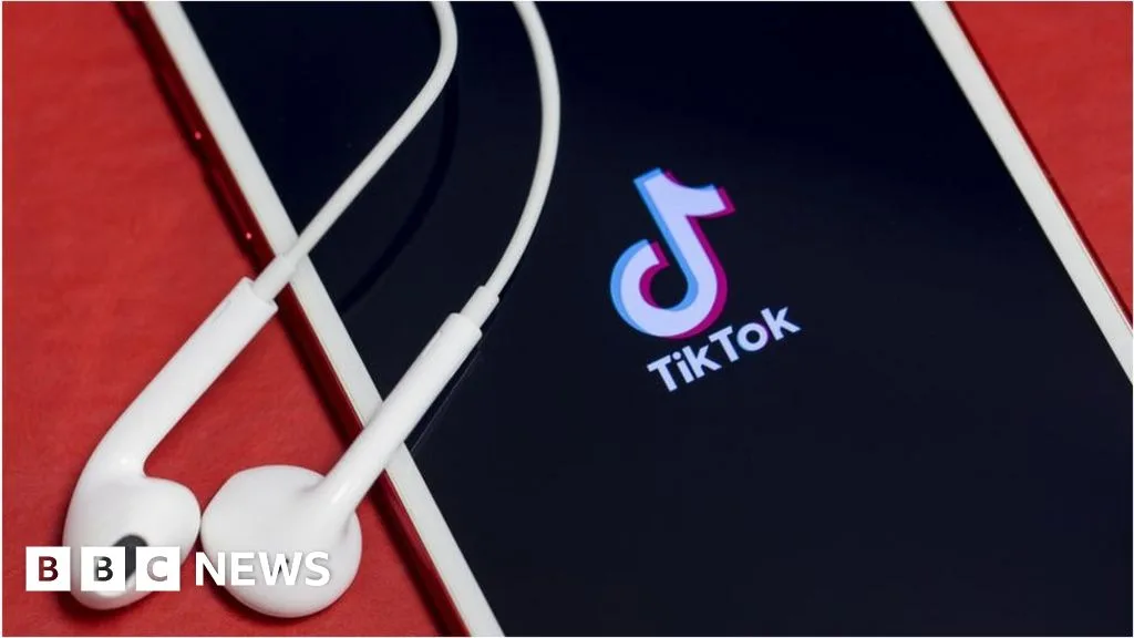 TikTok Investigates Claims of Aggressive Work Culture After Executive's Maternity Leave Remarks