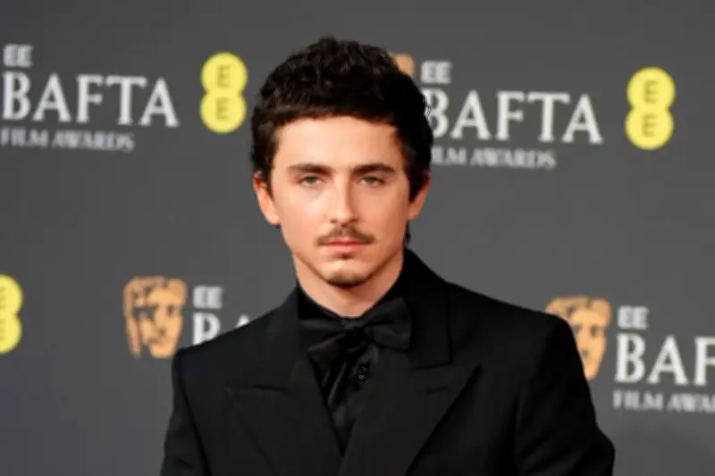 Timothée Chalamet and Selena Gomez to Star in Animated Rom-Com Not Alone