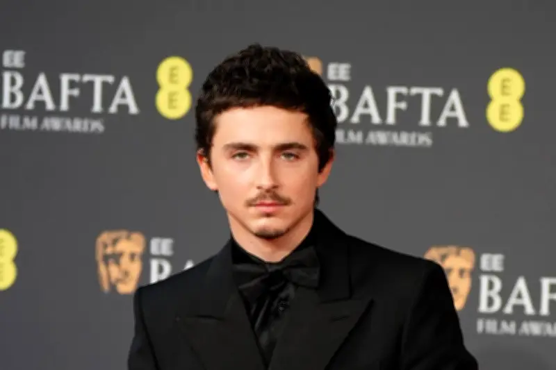 Timothee Chalamet Prefers Knicks Victory Over Oscars Celebration