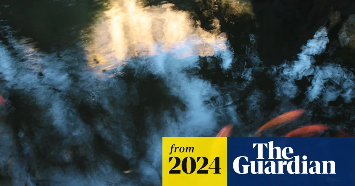 Victorian Toddler's Drowning Prompts Call for Pond Fencing Law Reform