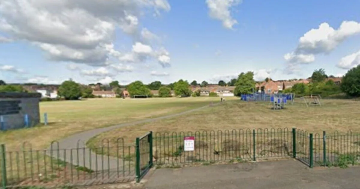 Five-Year-Old Boy Mauled by Dog in Sheffield Park Attack