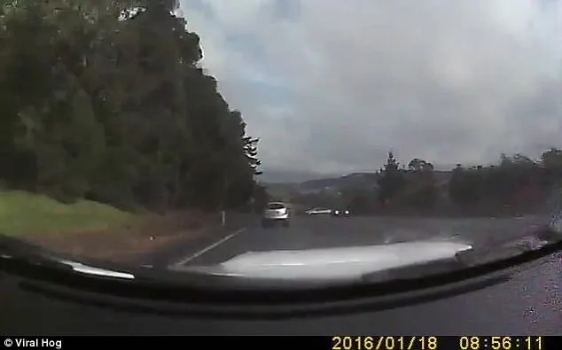 Dashcam Captures Driver's Narrow Escape on Slippery New Zealand Highway