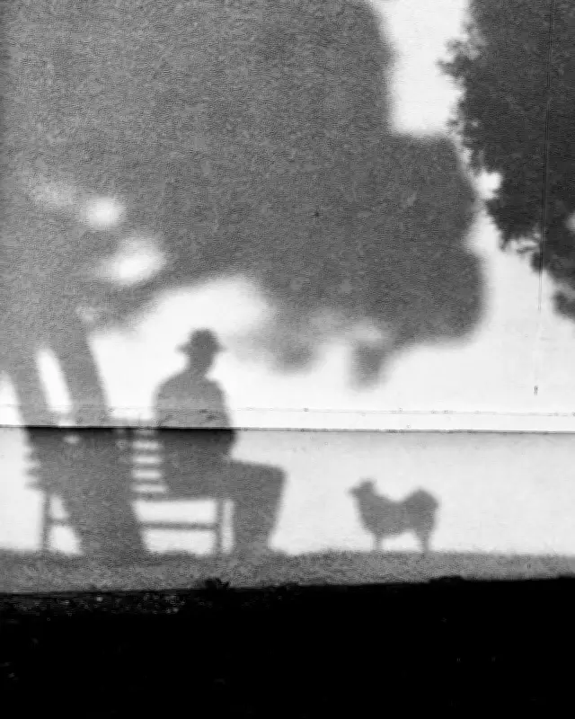 Tony Hertz's Best Phone Picture: Shadow Dog on iPhone 7 Plus