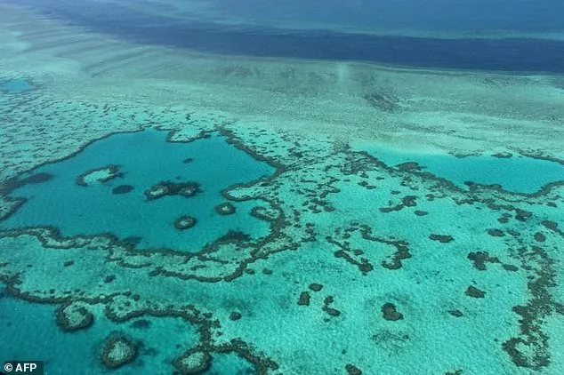 Great Barrier Reef's Outlook Remains 'Very Poor' Despite Coral Recovery, Scientists Warn