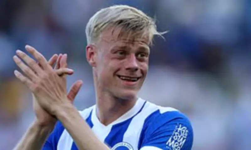 Tottenham Prepares Improved Bid for Brighton Defender Jan Paul van Hecke