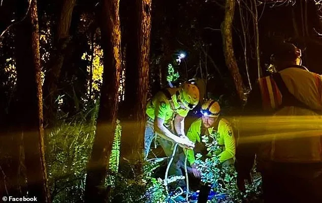 Tourist Plunges 30 Feet Off Cliff While Trying to Get Closer Look at Kīlauea Eruption
