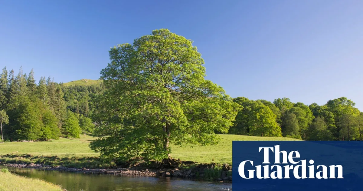 Toxic Forever Chemicals Found in Cumbria and Lancashire Waters