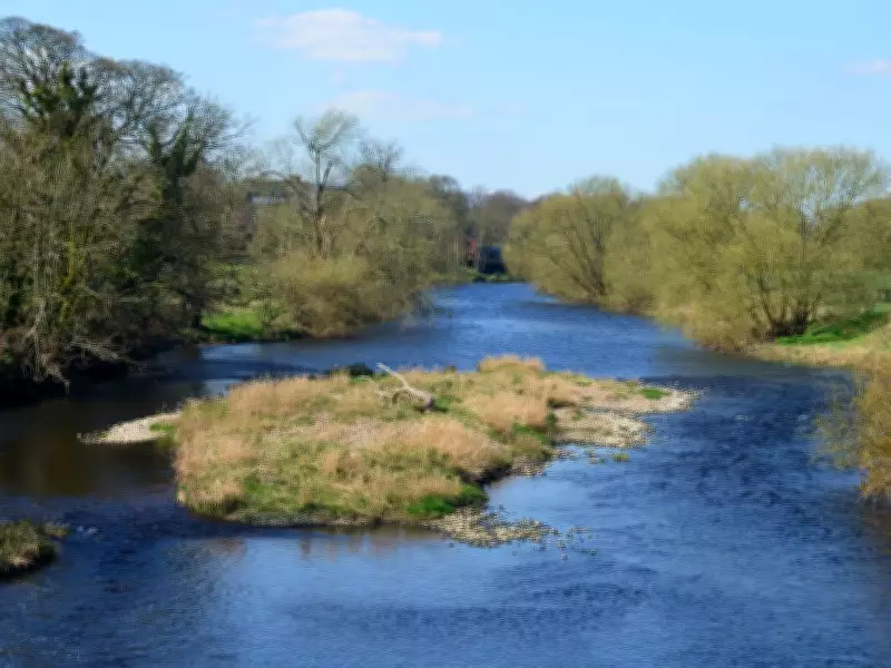 Tragic River Drowning Claims Life of 13-Year-Old Girl in Skipton