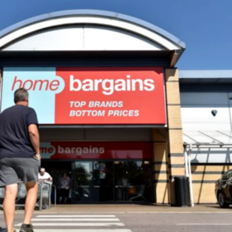 Transform Your Garden Fence with £30 Home Bargains Light-Up Ivy Trellis