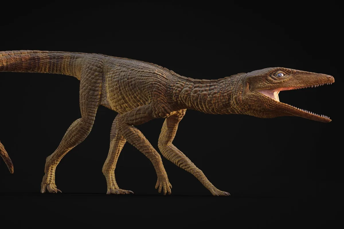 Triassic Crocodile Species Named After Welsh Teacher
