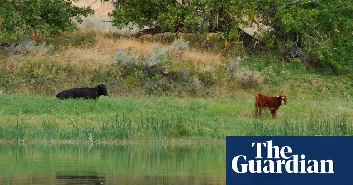 Trump Administration Cancels Conservation Rule on Public Lands