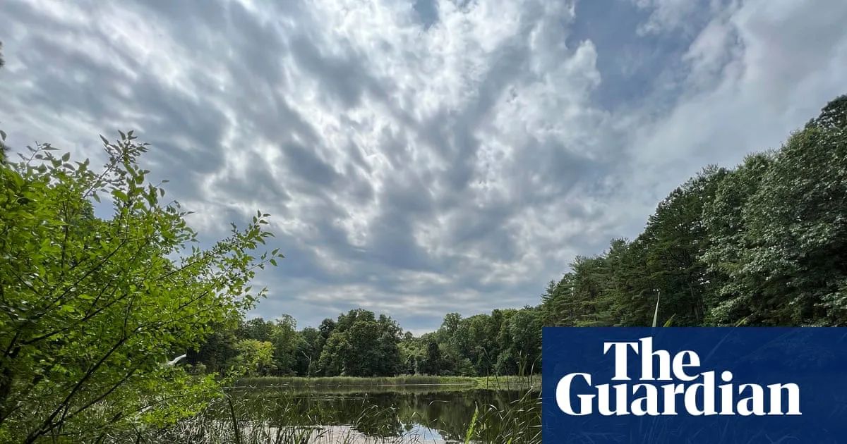 Trump Administration Approves Logging in Ohio's Only National Forest