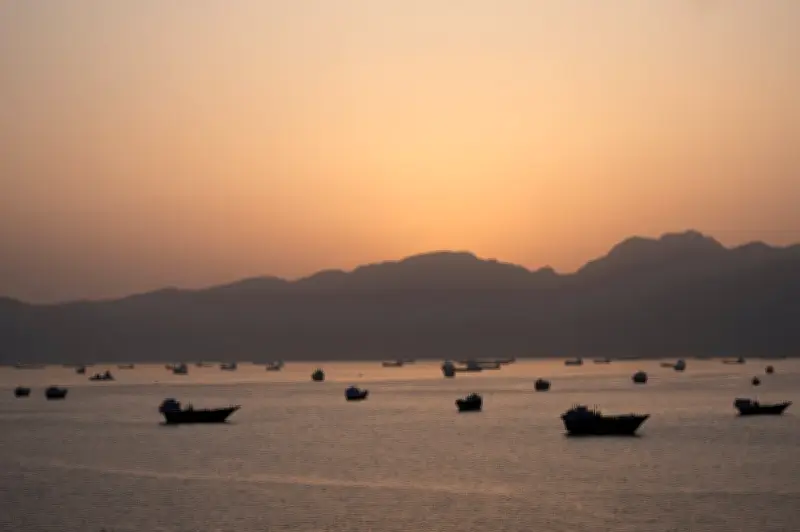 Trump Blames Iran for Drone Strike on Cargo Ship in Strait of Hormuz