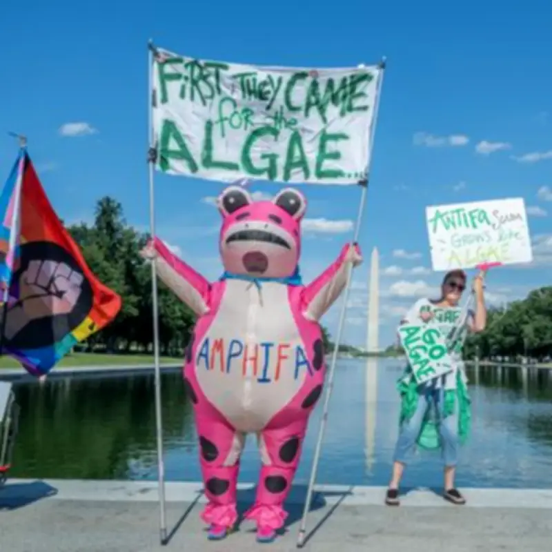Trump Claims 'Pro-Algae' Vandalism at $16m Washington Reflecting Pool