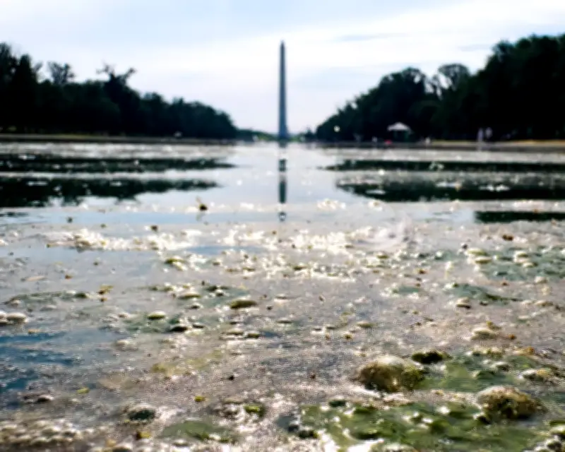 Trump's Botched Reflecting Pool Renovation Becomes National Metaphor