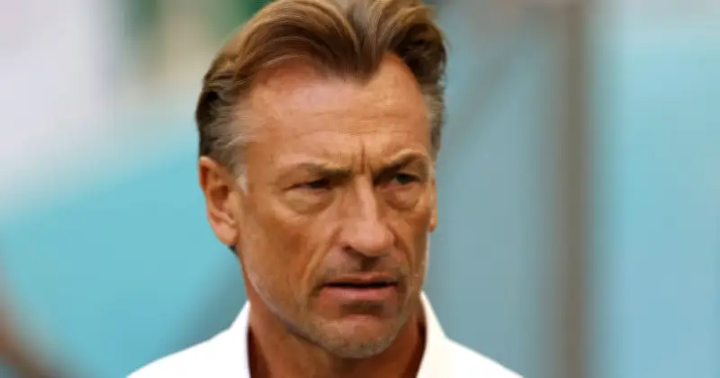 Tunisia Makes U-Turn on Coach Sacking, Hires Herve Renard