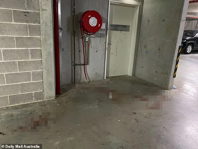 Two Arrested in Vietnam Over Sydney Underworld Murder