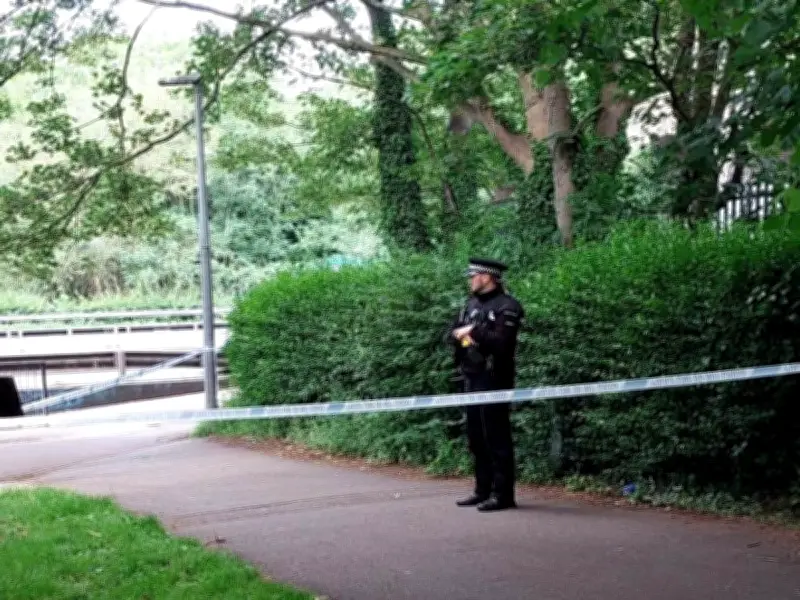 Two Teenagers Charged with Murder of 'Kind Soul' in Chelmsford Stabbing