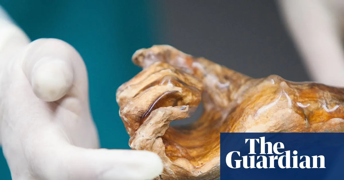 Sourdough Bread Baked with Yeast from 5,000-Year-Old Mummy Ötzi
