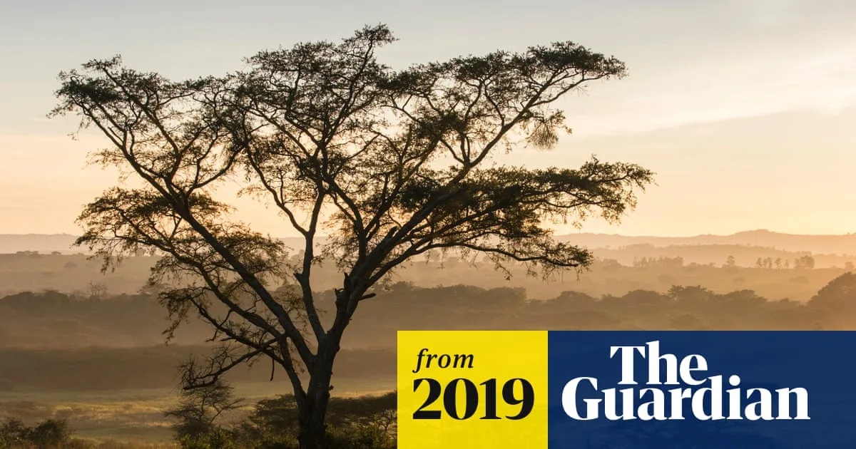 Uganda Halts Tourism After Alleged Tourist Abduction