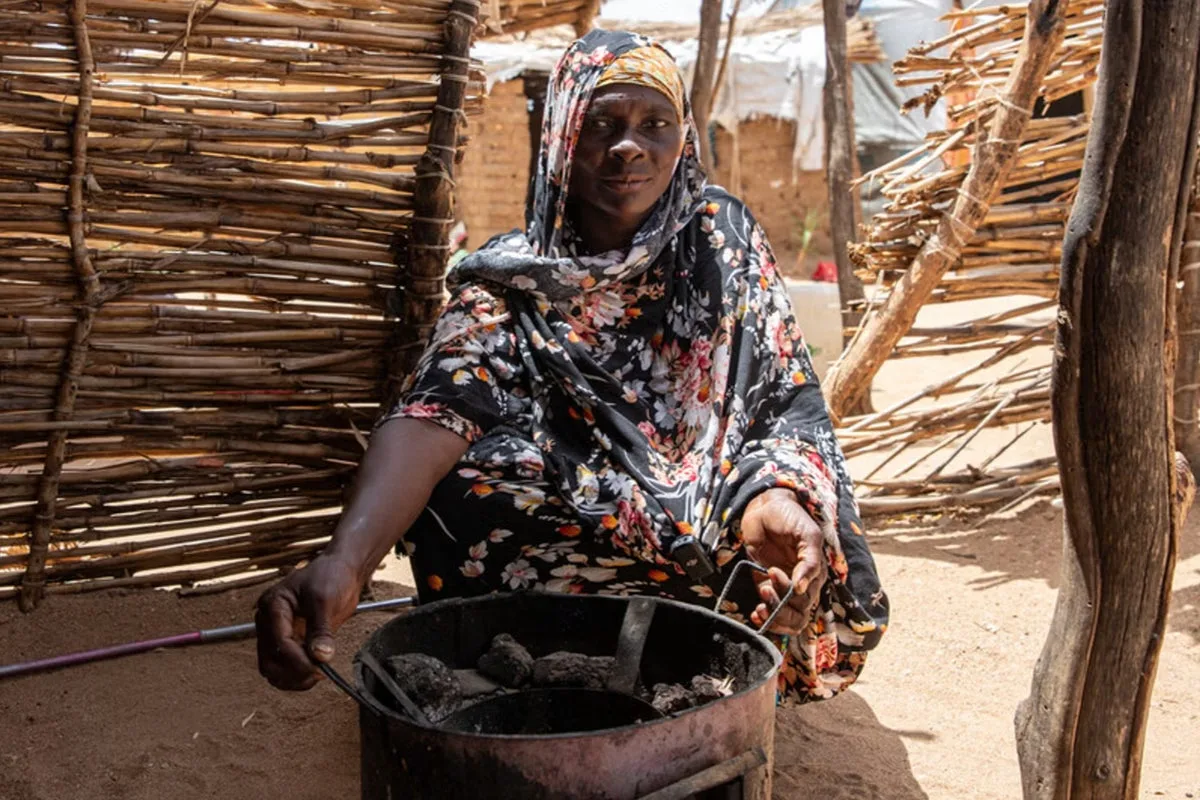 UK Aid Cuts Threaten Women's Rights Gains, MPs Report
